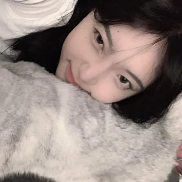 干支魂:猫客万来